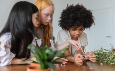 Recueillir des poussières extra-terrestres !