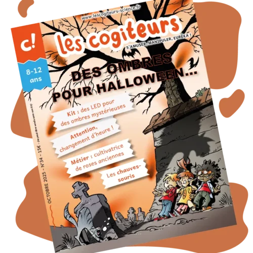 Des ombres pour s'effrayer !