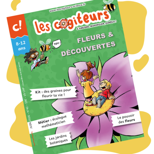 Fleurs & Découvertes