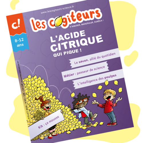 L'acide citrique